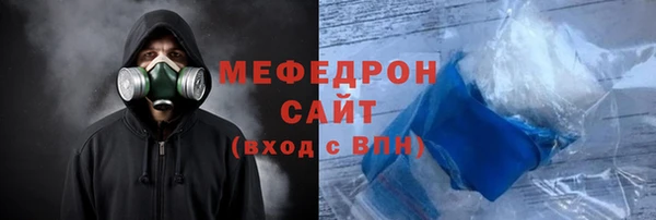 индика Богородицк