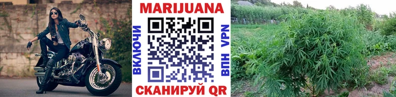 продажа наркотиков  Жуковский  МАРИХУАНА White Widow 